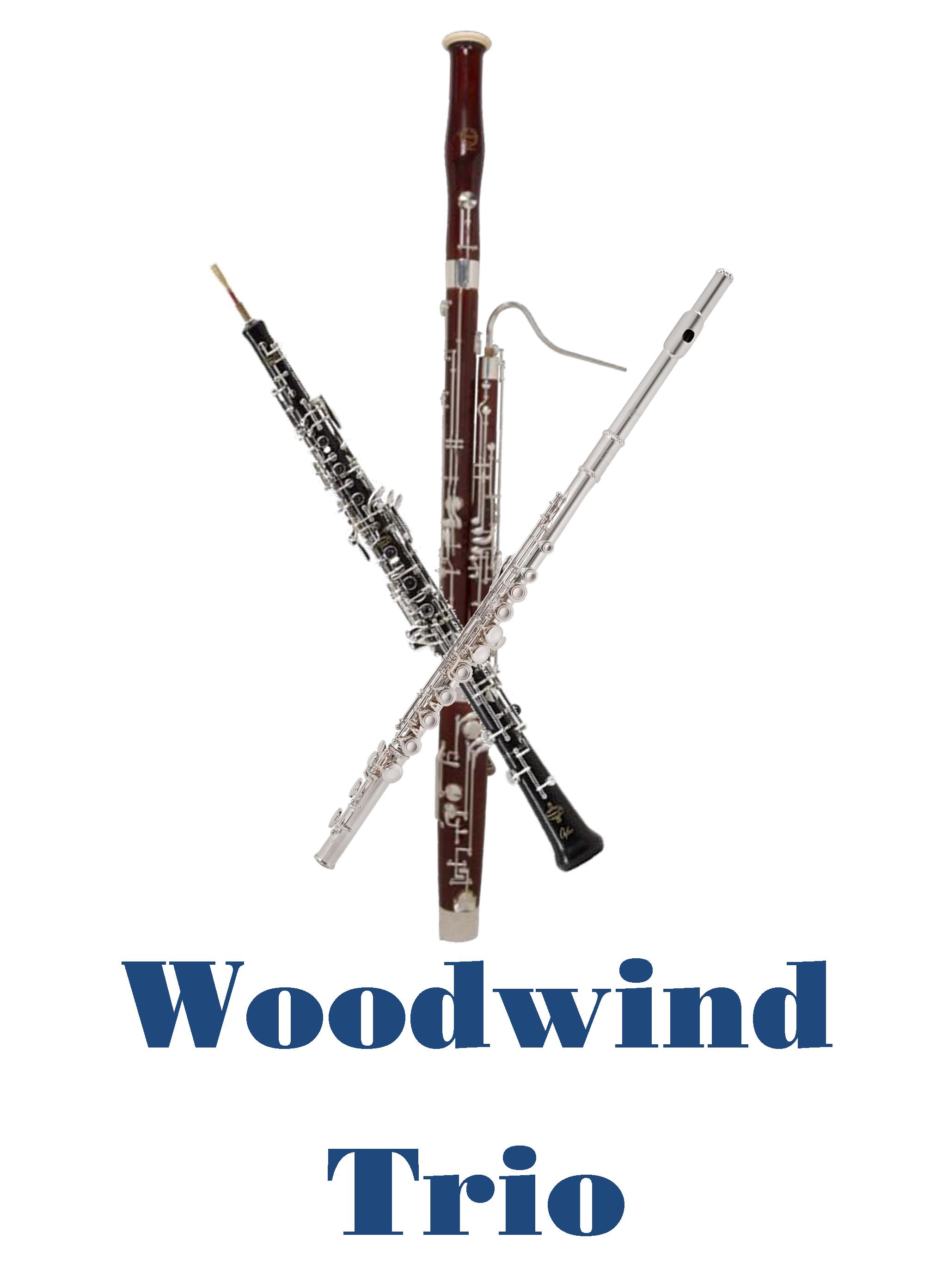 28 maggio 2022 - Seregno - WoodWind Trio